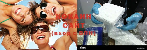 сатива Дмитриев