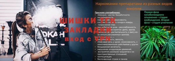 сатива Дмитриев