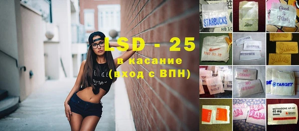 сатива Дмитриев