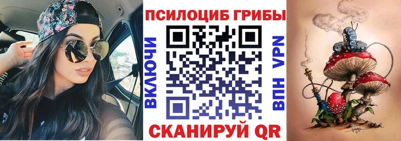 сколько стоит  Дигора  Псилоцибиновые грибы Psilocybe 