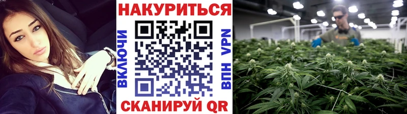 наркотики Дигора Марихуана семена